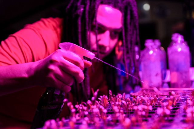 Omid Tavakoli [Breanna Kulkin]