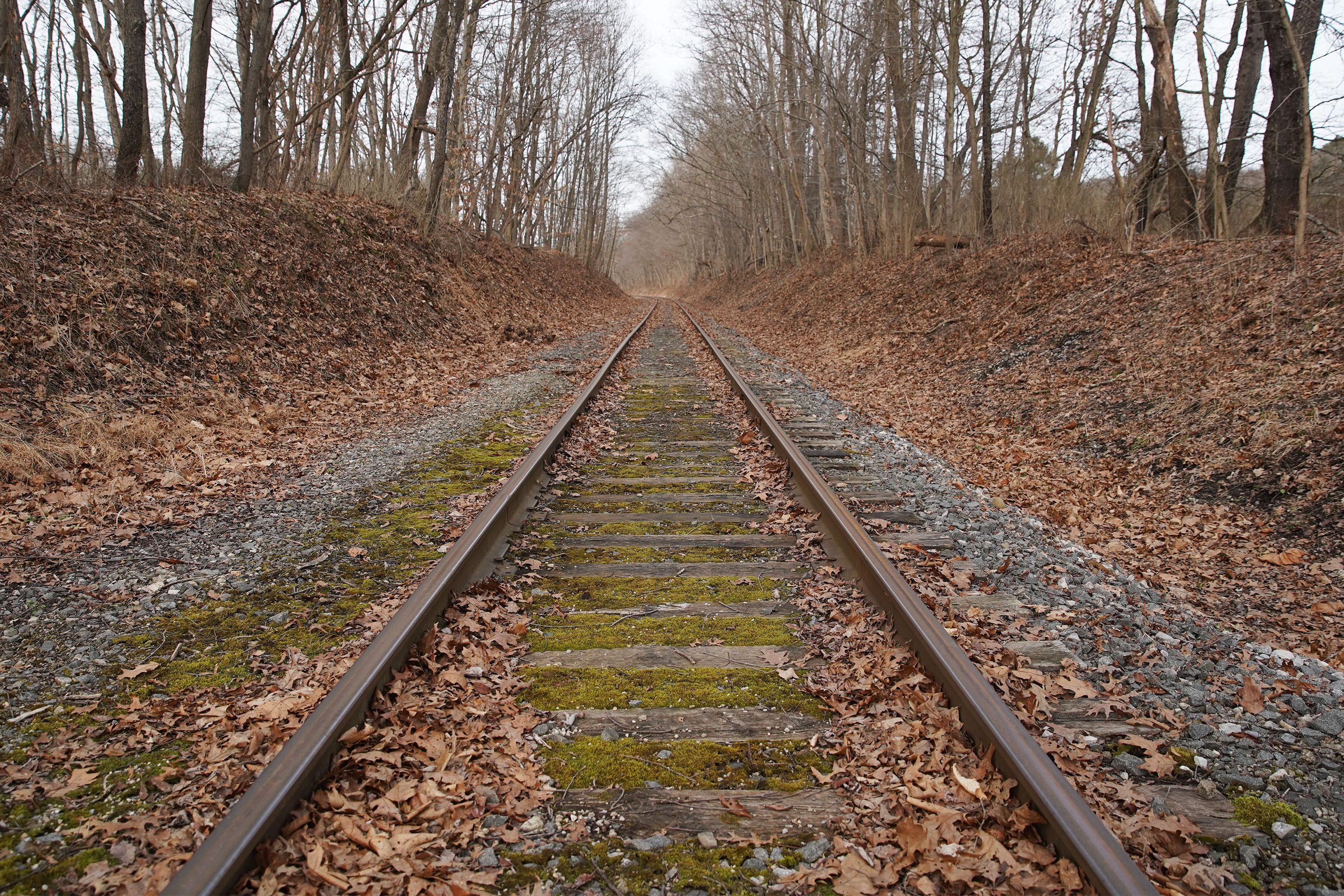 The Cuyahoga Valley Scenic Railroad along the edge of the property.