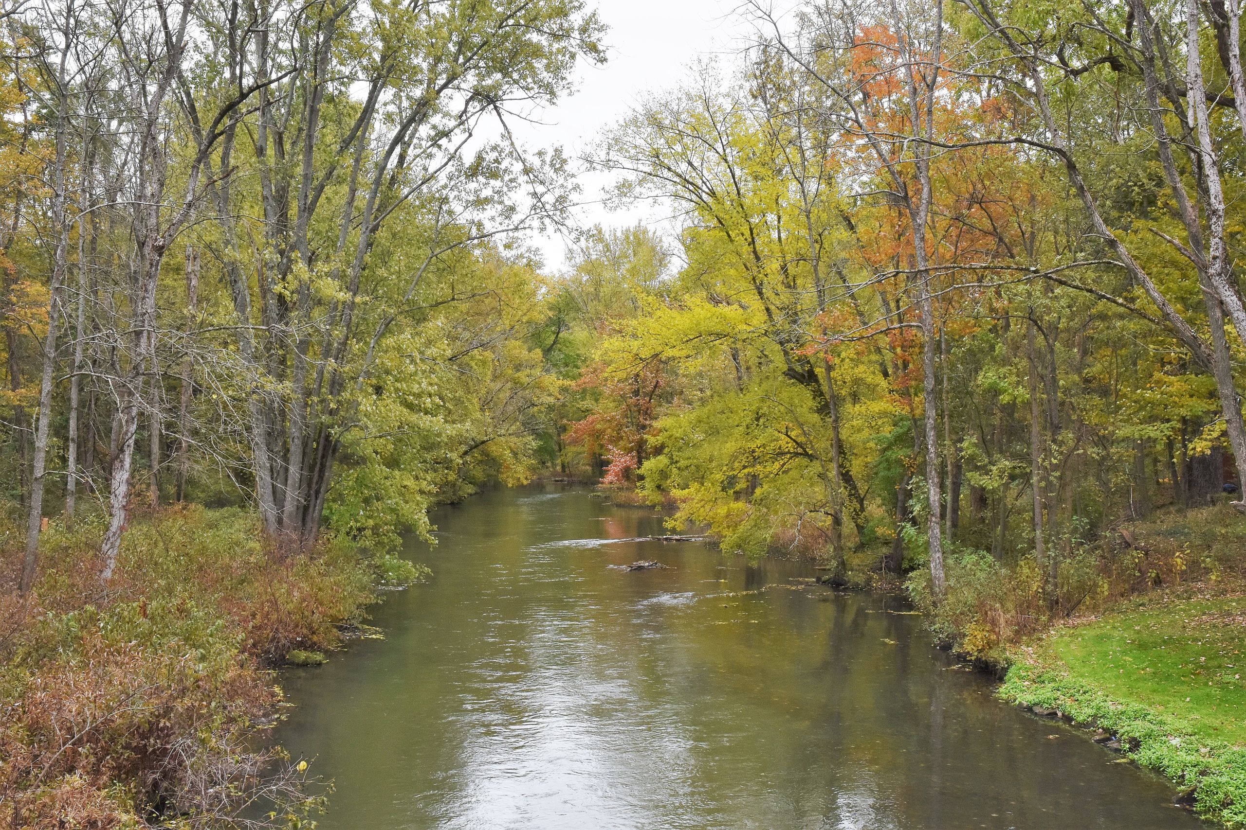 A corridor of trees along the upper Cuyahoga.