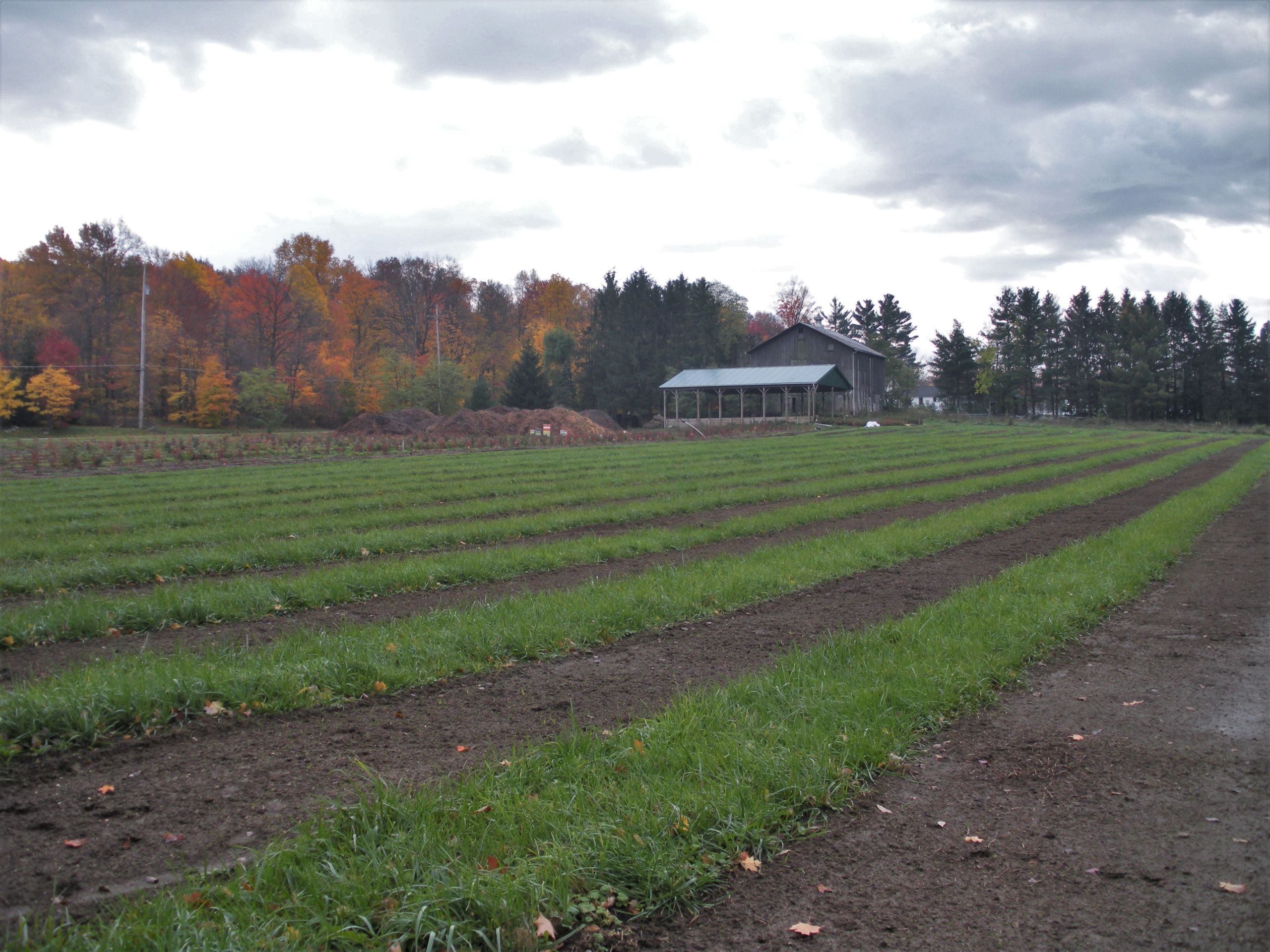 The Messenger Farm in Auburn.