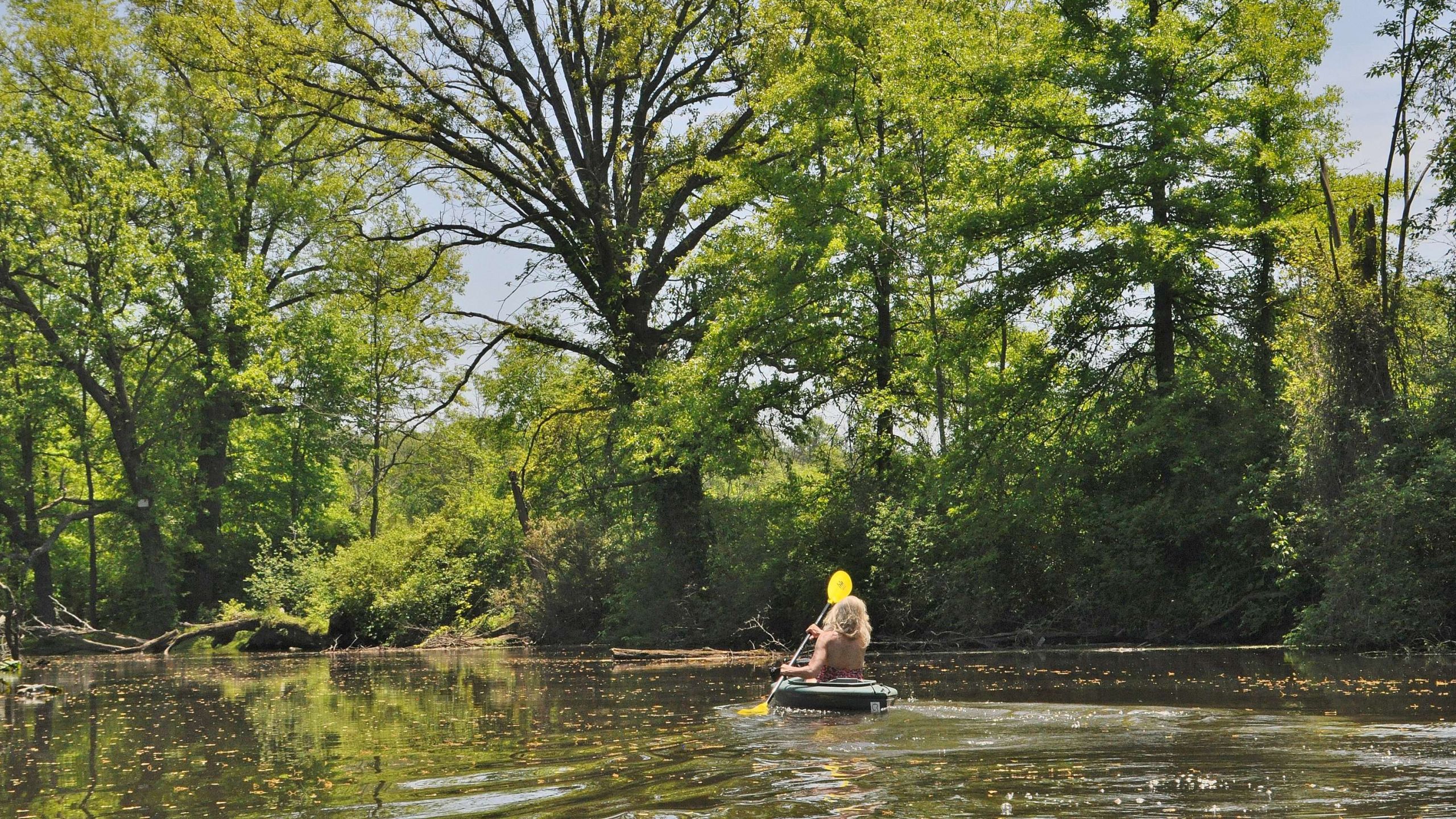 The upper Cuyahoga River near Burton in Geauga County.