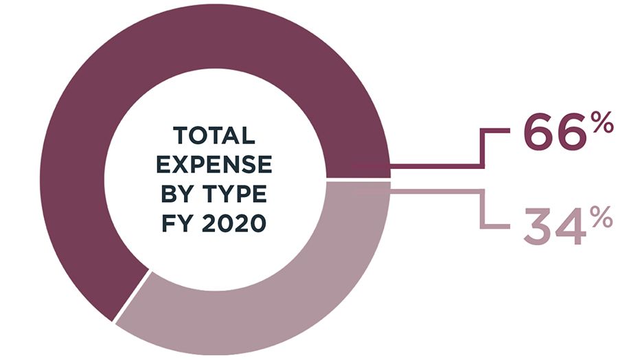 expense ideastream community report financial review