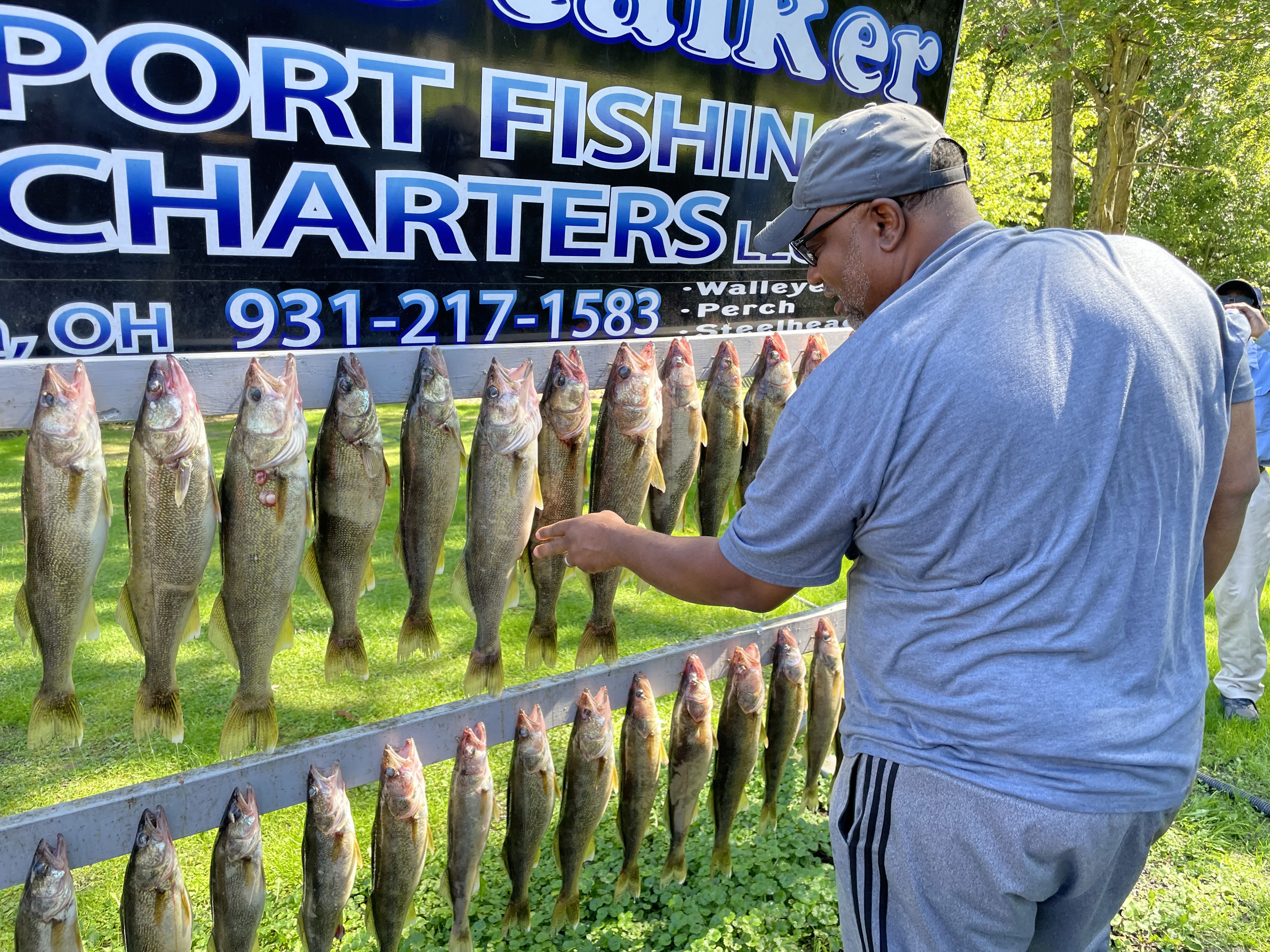 A man in a baseball cap inspects two rows of fish hanging below a sign for a fishing charter.