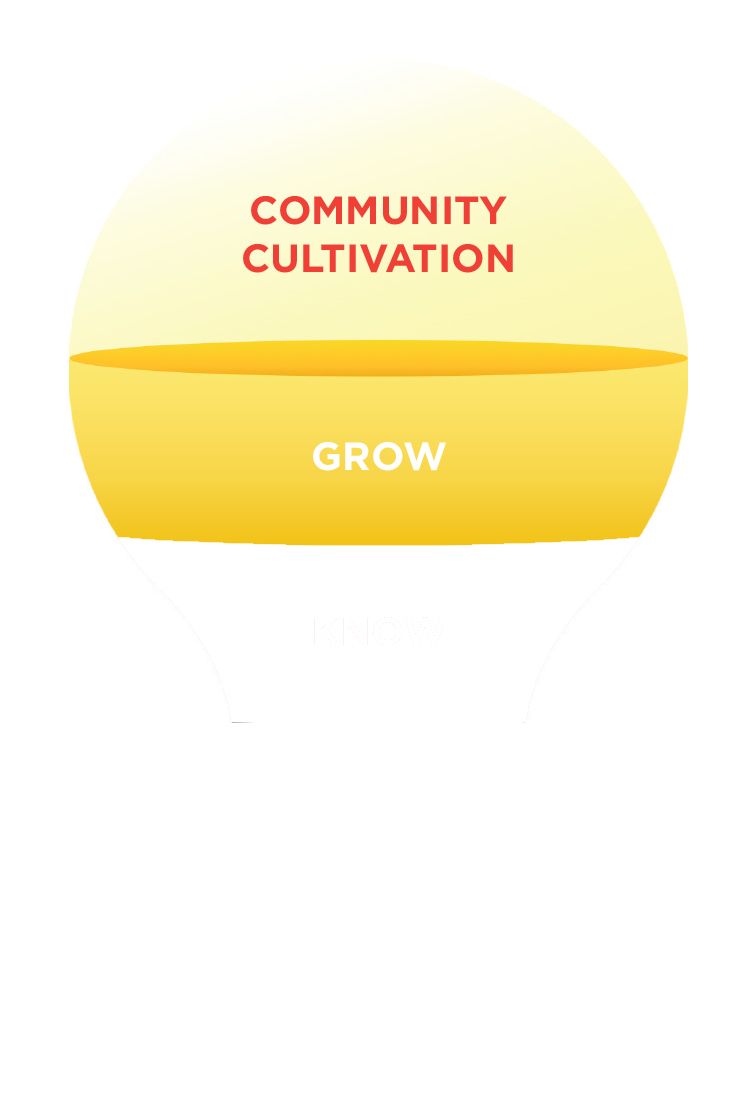 ideastream strategic plan