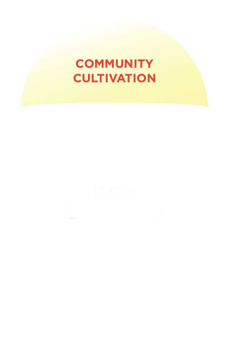 ideastream strategic plan