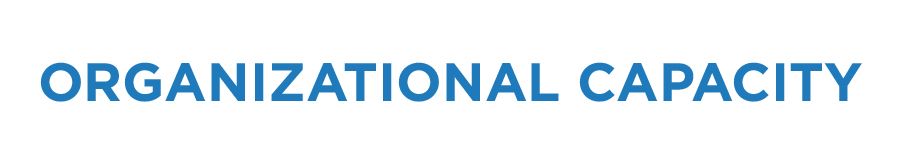 ideastream strategic plan organizational capacity