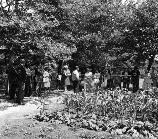 A photo shows people walking through community gardens at Woodhill Homes.